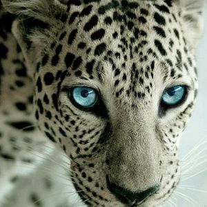 Meet your Posher, Jade